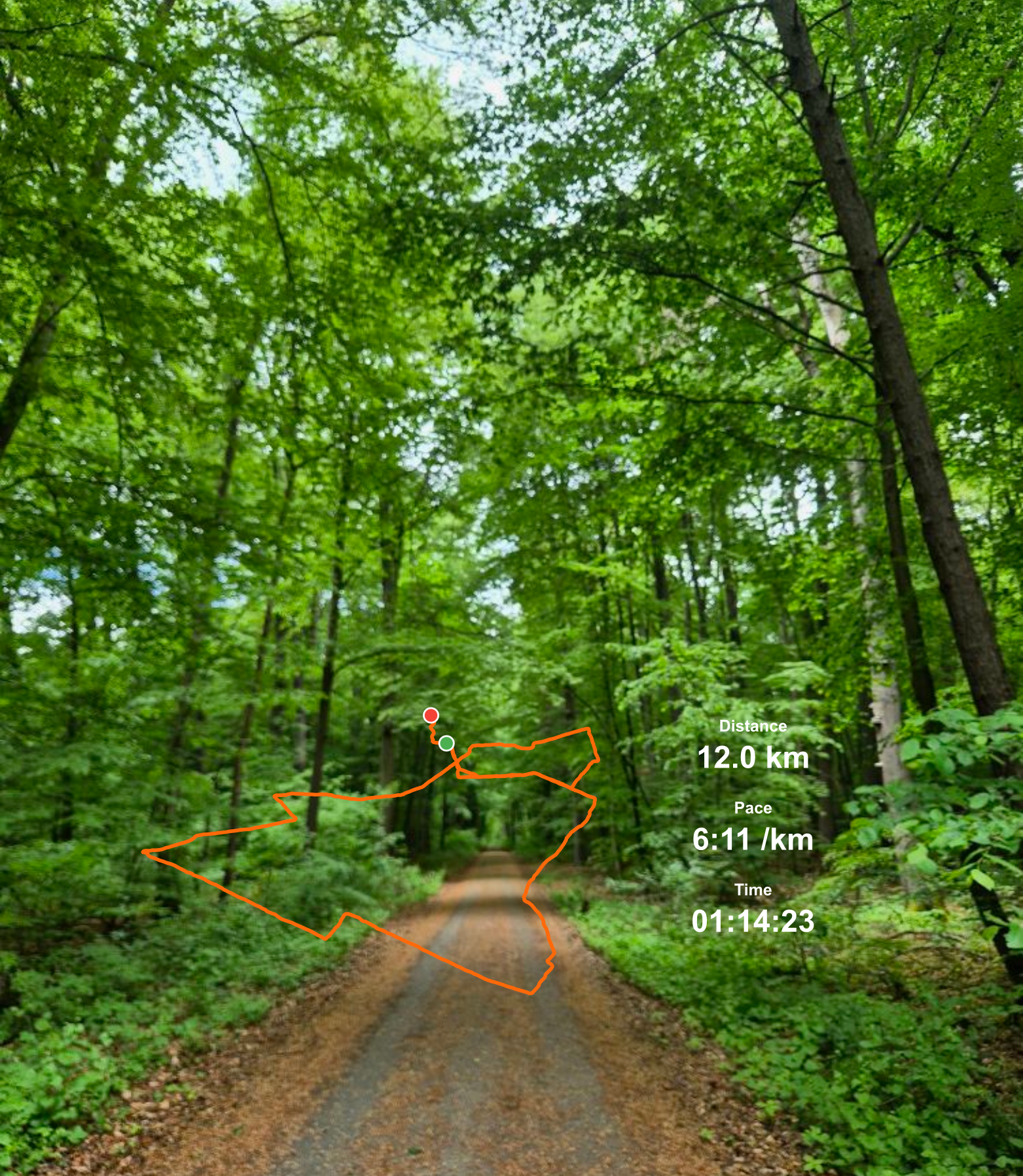Description